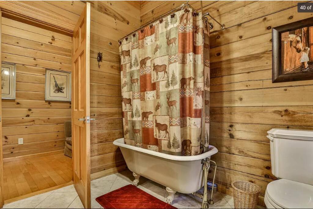 Blue Ridge Bliss- Spacious Cabin, Pets, Hot Tub! Екстериор снимка